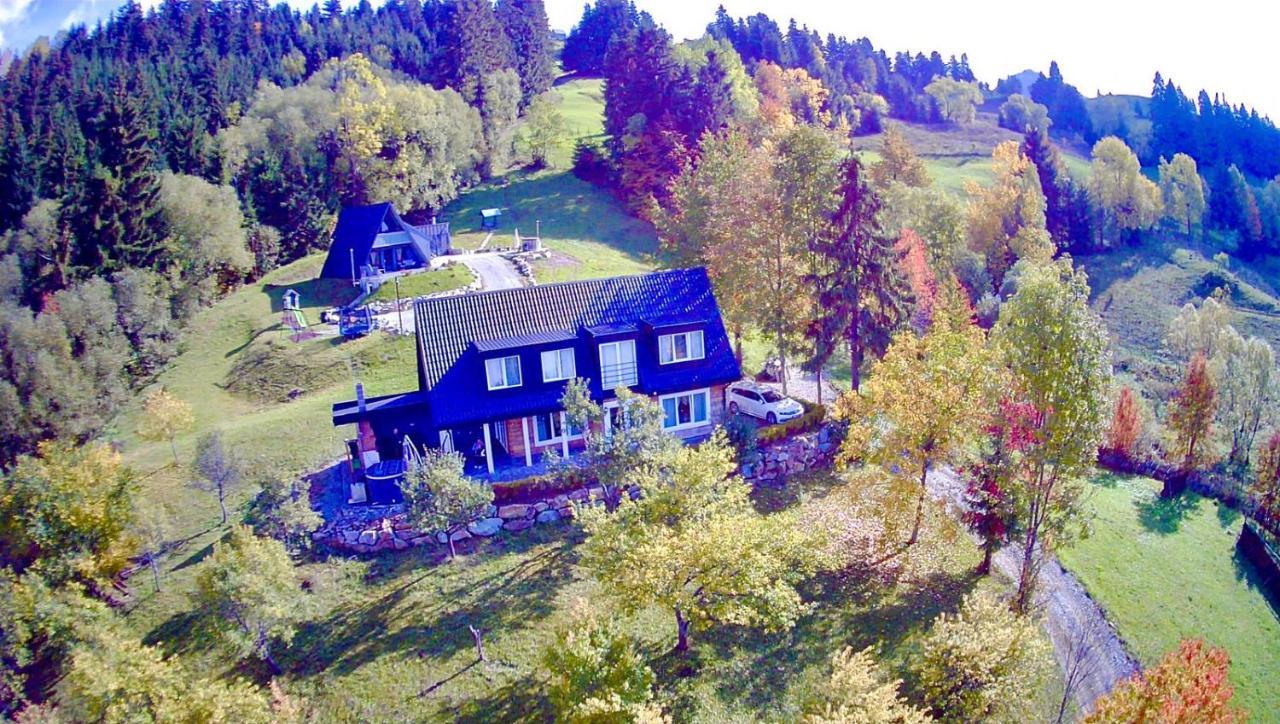 Villa Doinita House à Borşa Extérieur photo