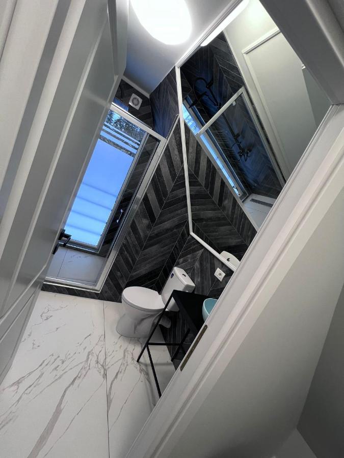 Villa Doinita House à Borşa Extérieur photo