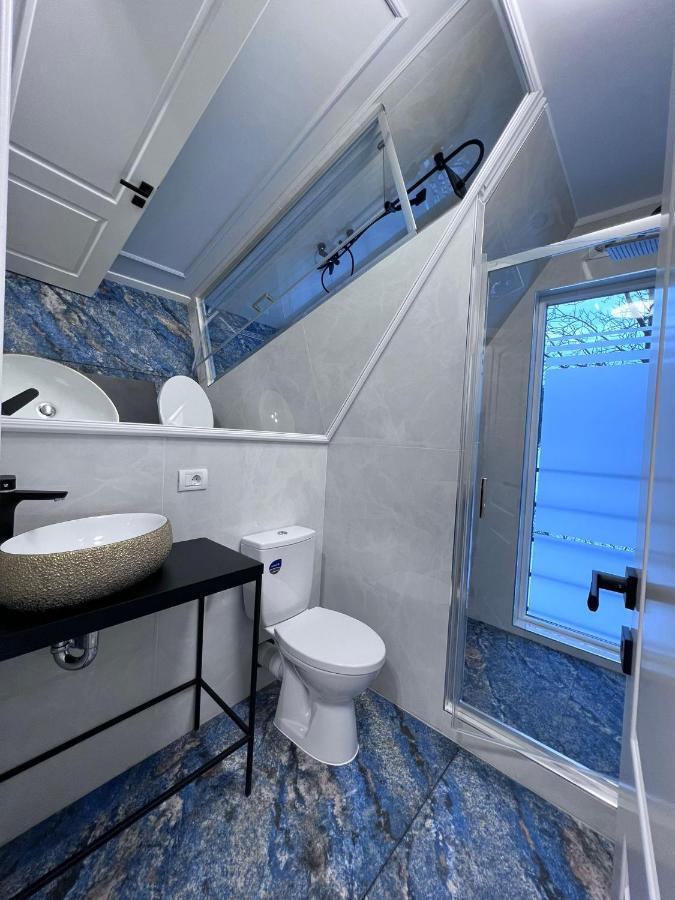 Villa Doinita House à Borşa Extérieur photo