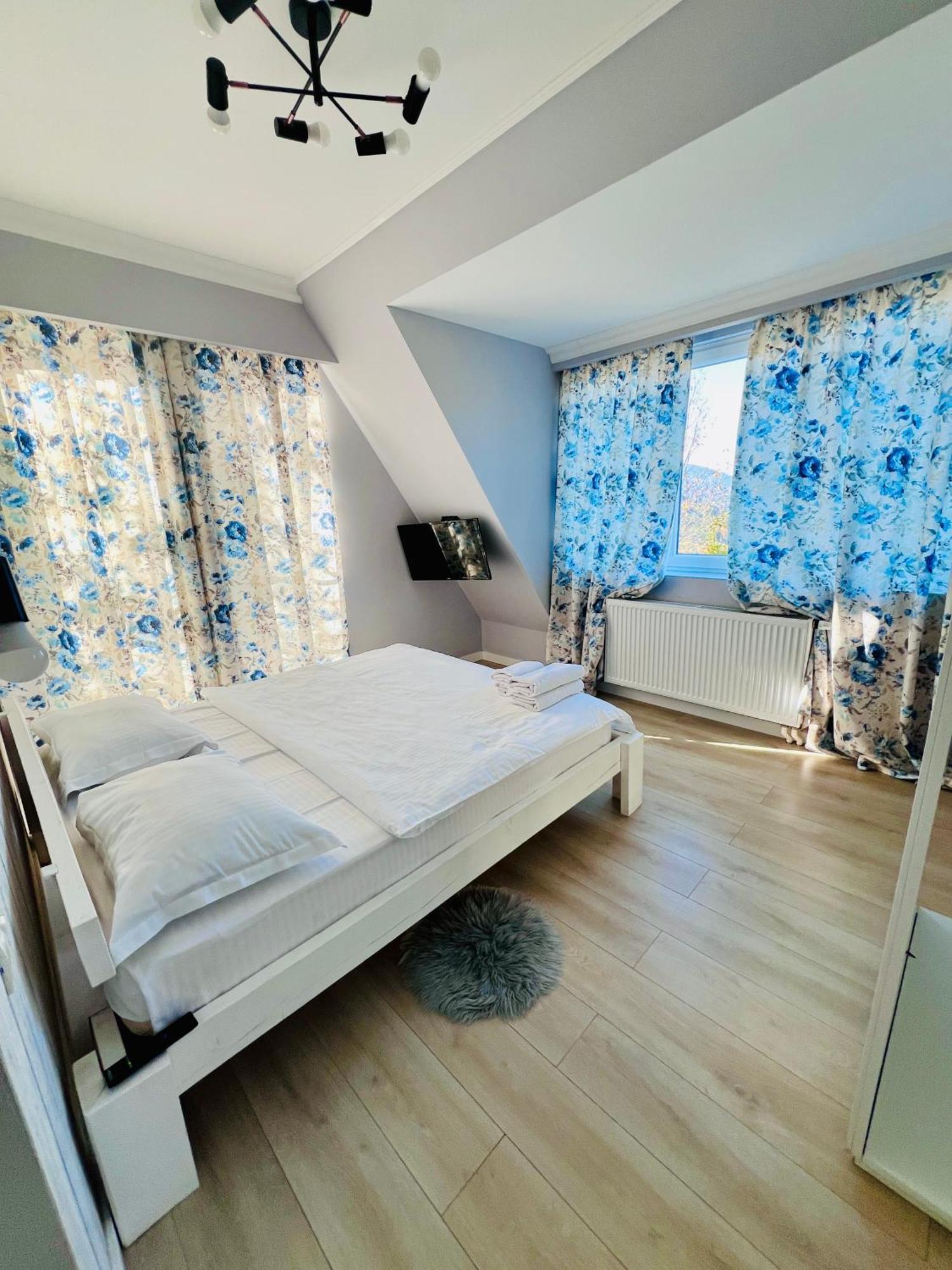 Villa Doinita House à Borşa Extérieur photo